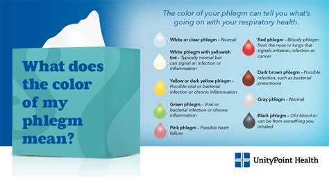 Phlegm Cheat Sheet: Recognizing Normal and。